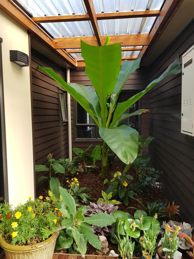 Heta Road B&B 뉴플리머스 외부 사진